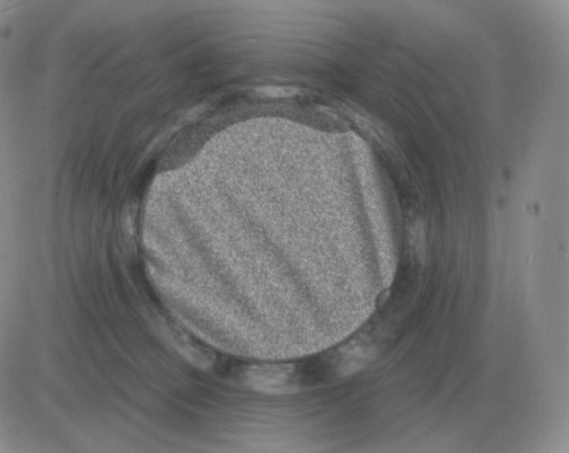 X0000082680373200702232144