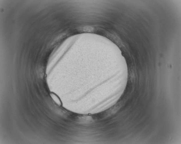 X0000082680374200702232144