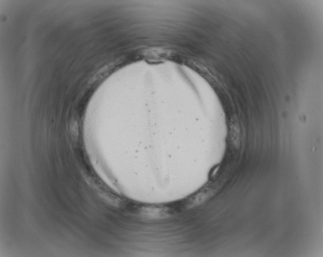 X0000082680375200702232144