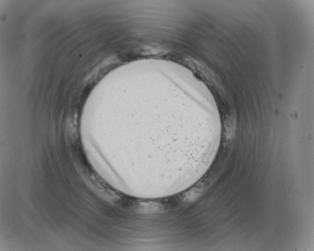 X0000082680376200702232144