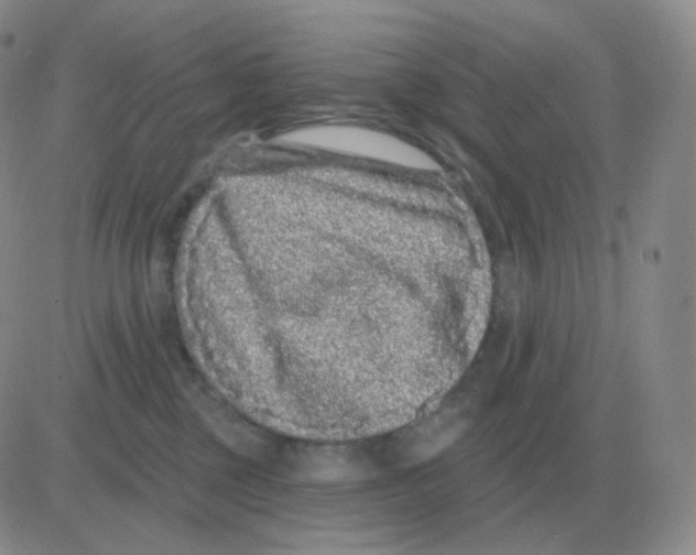 X0000082680377200702232144