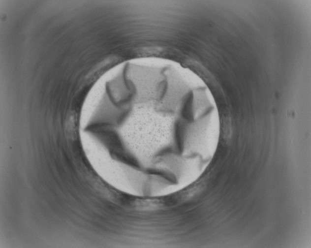 X0000082680378200702232144