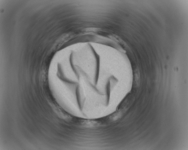 X0000082680379200702232144