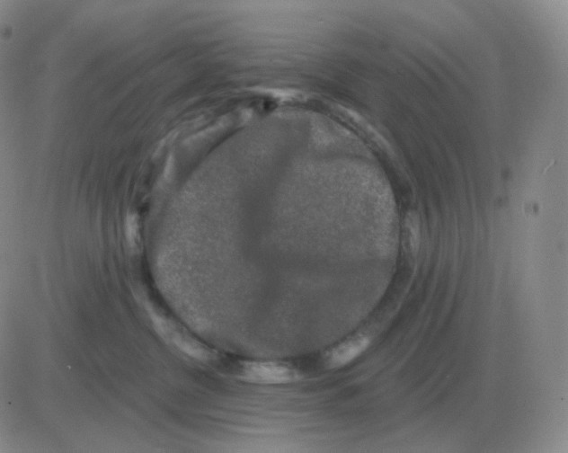 X0000082680380200702232144