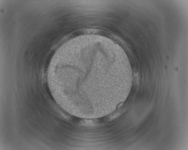 X0000082680381200702232144