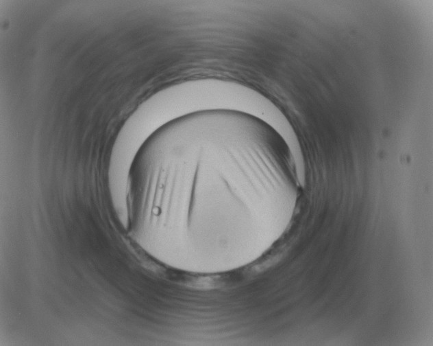 X0000082680382200702232144