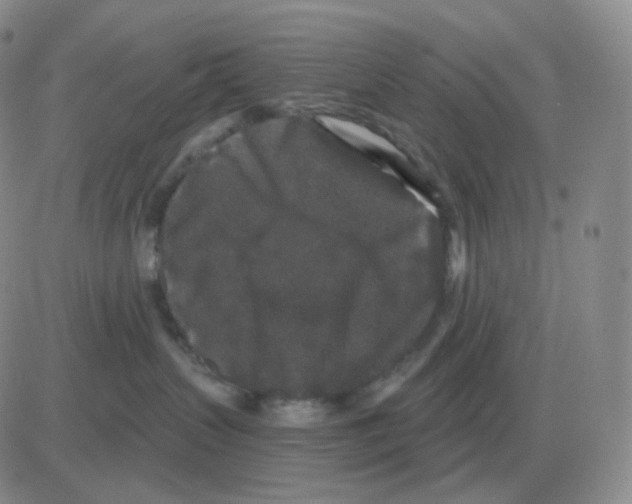 X0000082680383200702232144