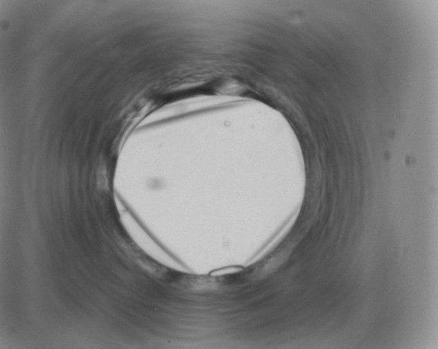 X0000082680384200702232144