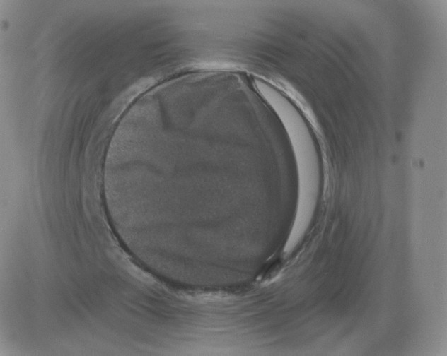 X0000082680385200702232143