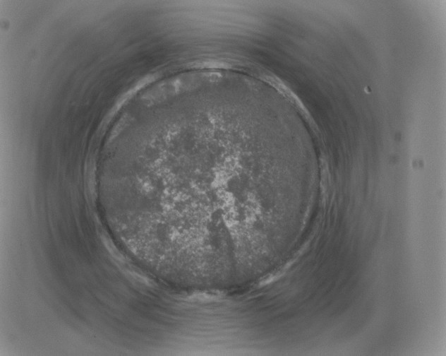 X0000082680386200702232143