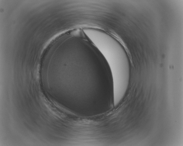 X0000082680387200702232143