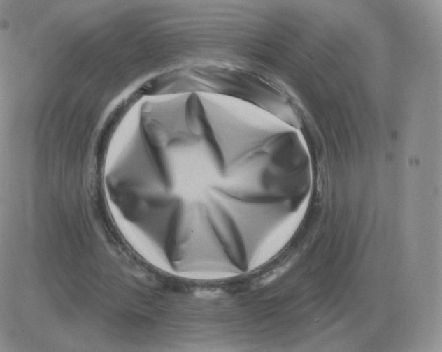 X0000082680388200702232143