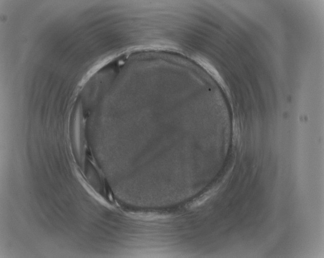 X0000082680389200702232143