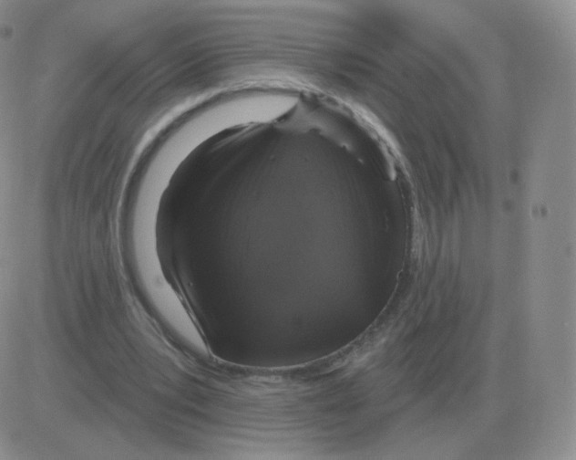 X0000082680391200702232143