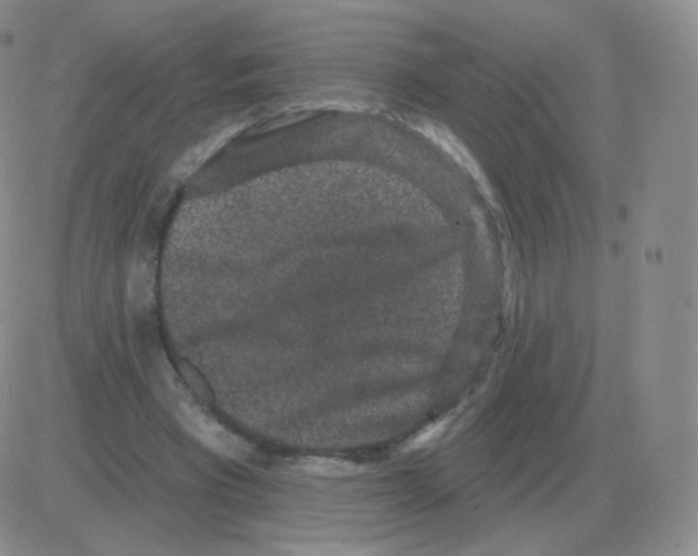 X0000082680393200702232143