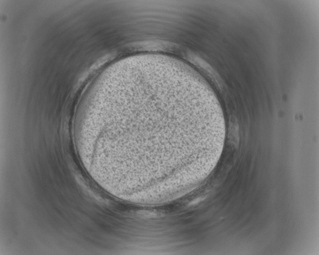 X0000082680394200702232143