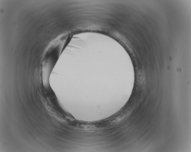 X0000082680395200702232143