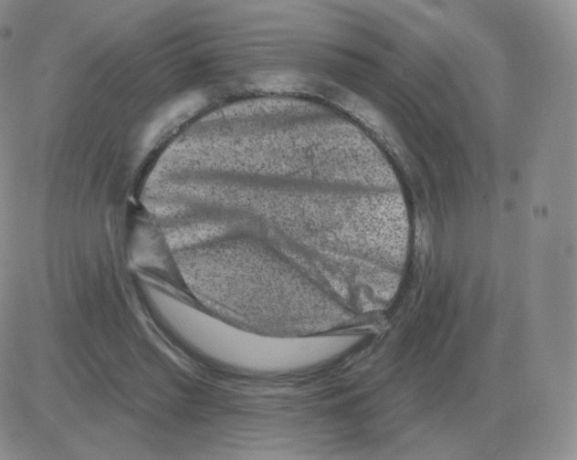 X0000082680397200702232143