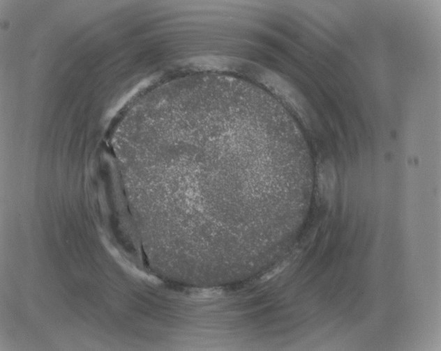 X0000082680398200702232143