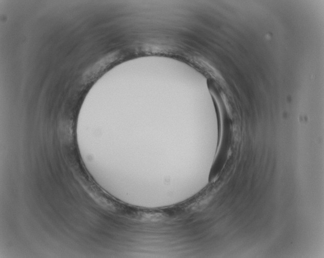 X0000082680401200702232143