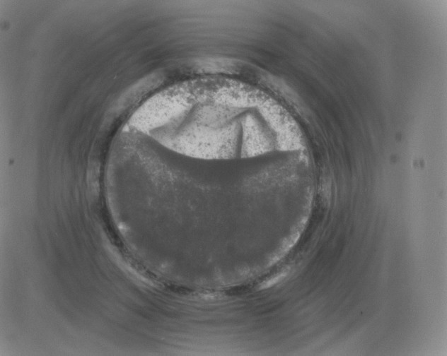 X0000082680402200702232143