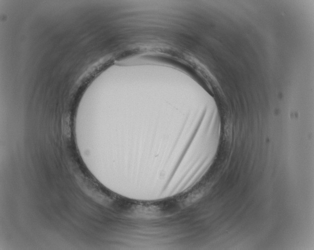 X0000082680403200702232143