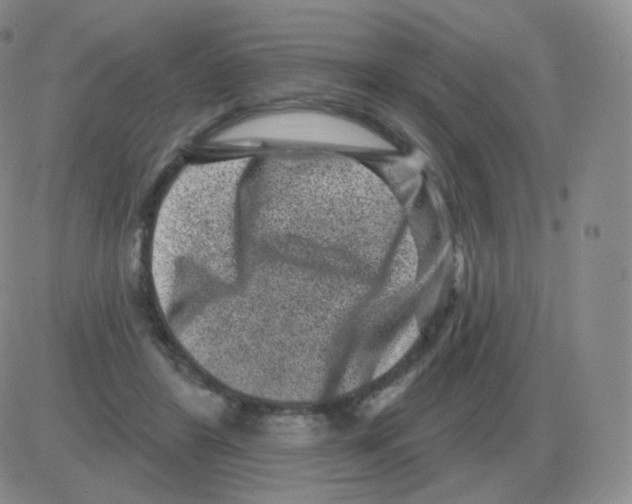 X0000082680404200702232143