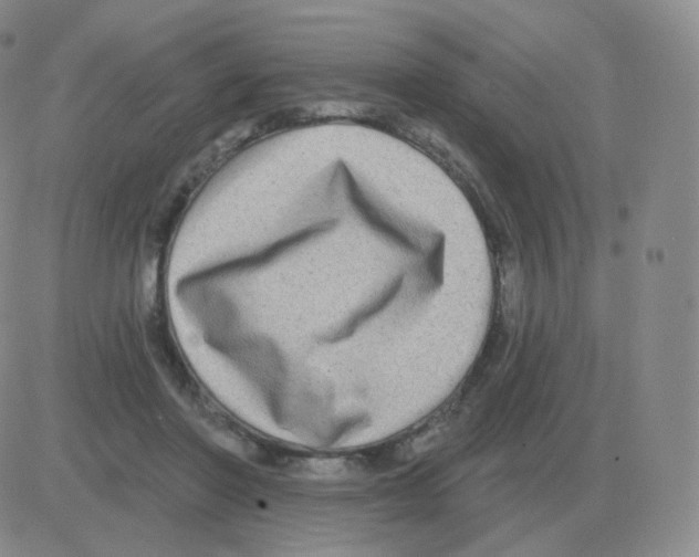 X0000082680406200702232143