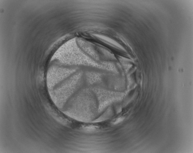 X0000082680407200702232143