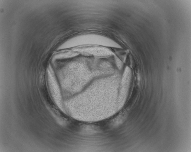 X0000082680408200702232143