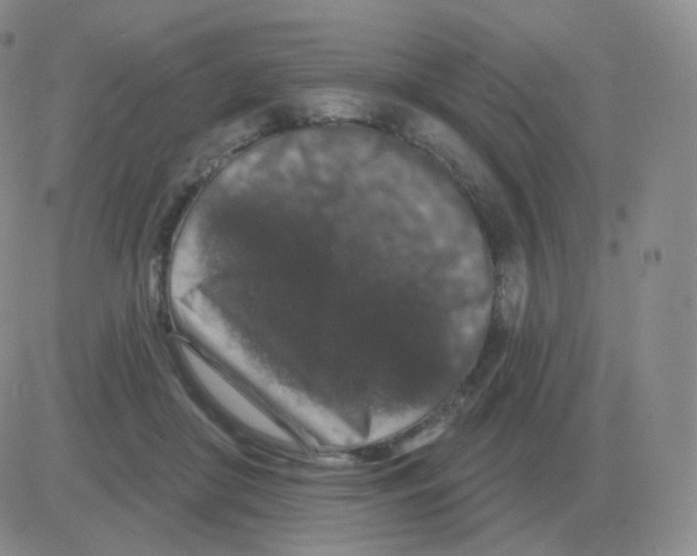 X0000082680410200702232143