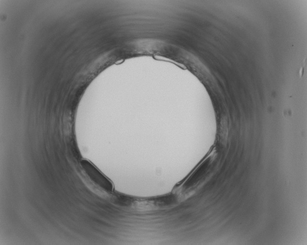 X0000082680413200702232143