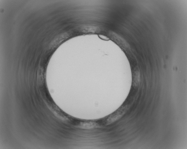 X0000082680414200702232143