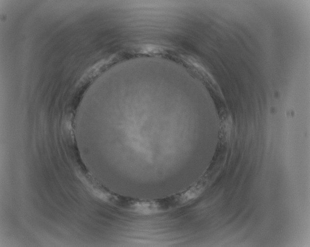 X0000082680415200702232143