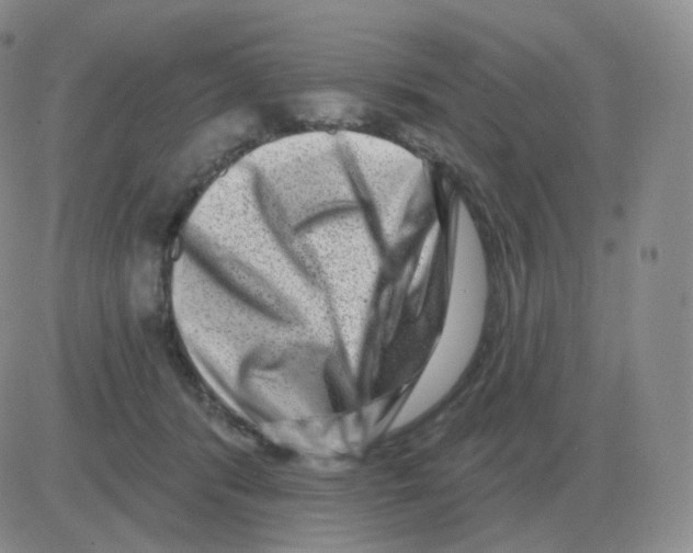 X0000082680416200702232143