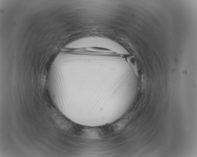 X0000082680417200702232143