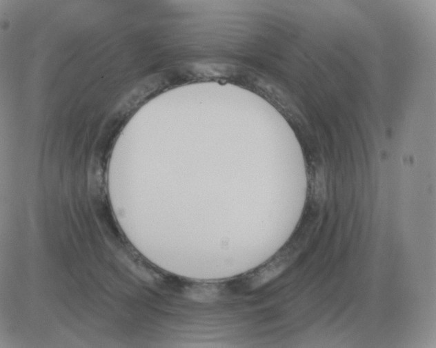 X0000082680418200702232143