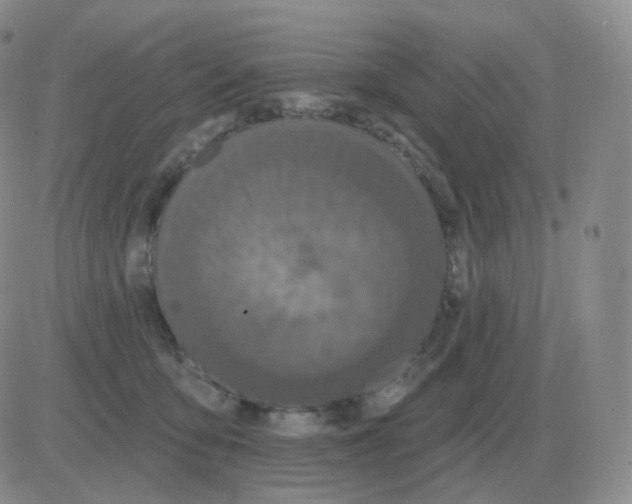 X0000082680419200702232143