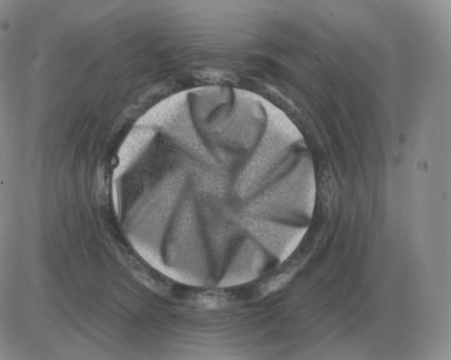 X0000082680420200702232143