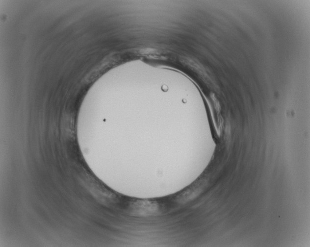 X0000082680421200702232143