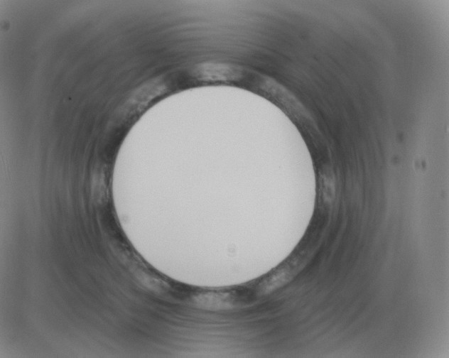 X0000082680422200702232143