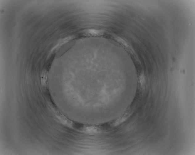 X0000082680423200702232143