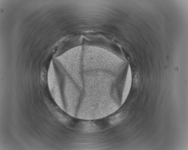 X0000082680424200702232143