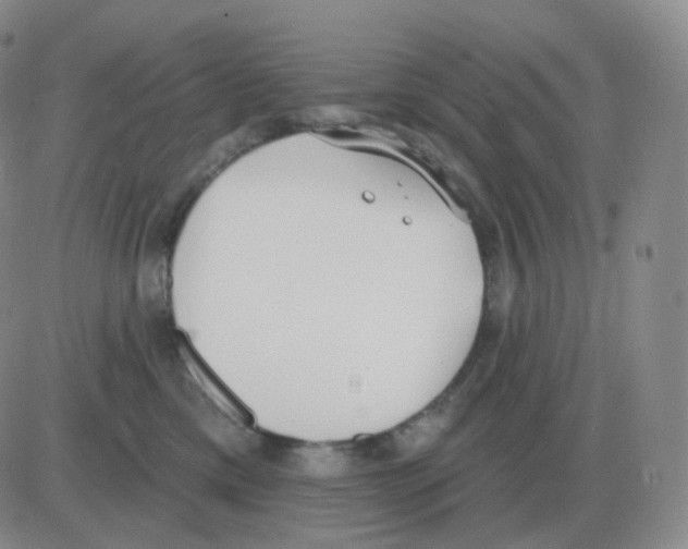 X0000082680425200702232143