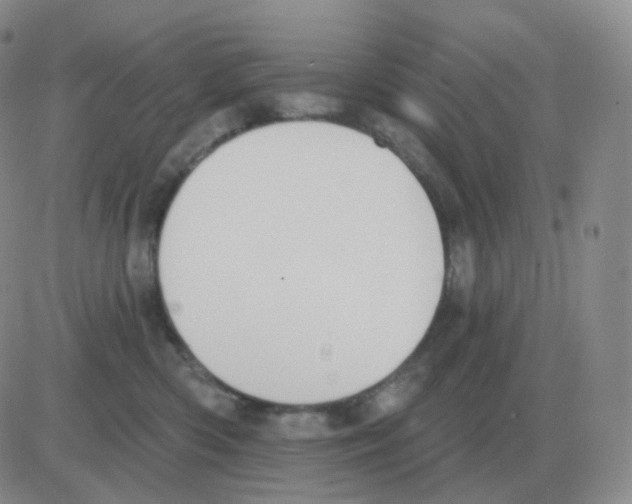 X0000082680426200702232143