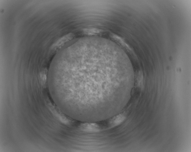 X0000082680427200702232143