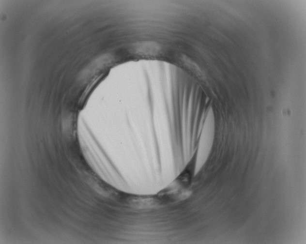 X0000082680428200702232143