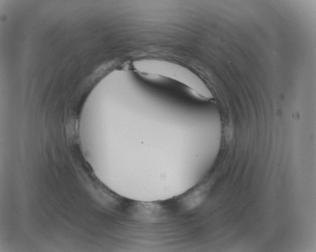 X0000082680429200702232143