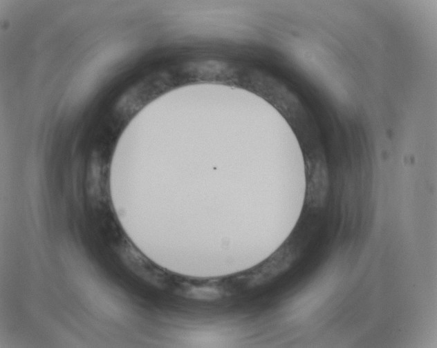 X0000082680430200702232143