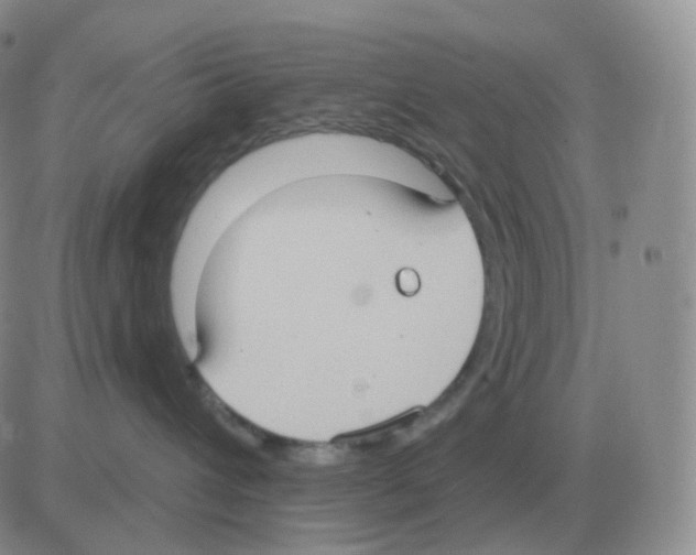 X0000082680432200702232143